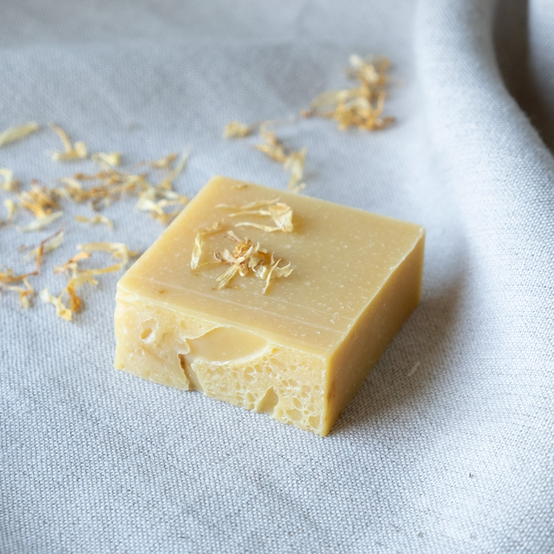 Ringelblume_image1_4195